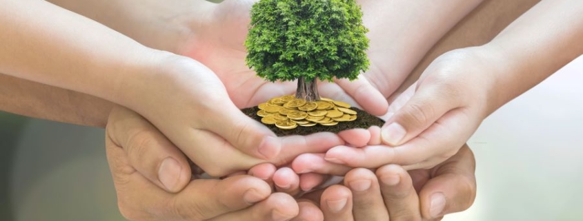 Main tenant un jeune arbre, symbolisant la croissance et la pérennité des investissements dans un cadre de gestion patrimoniale.